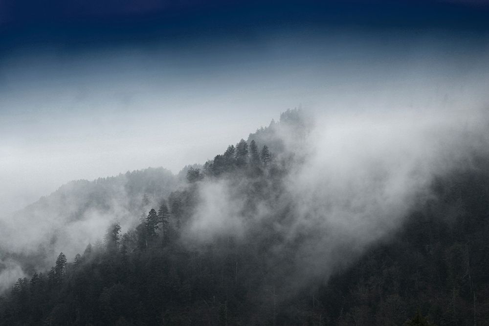 Mountain Clouds at Newfound Gap-Smoky Mountains National Park-Tennessee-USA art print by Anna Miller for $57.95 CAD