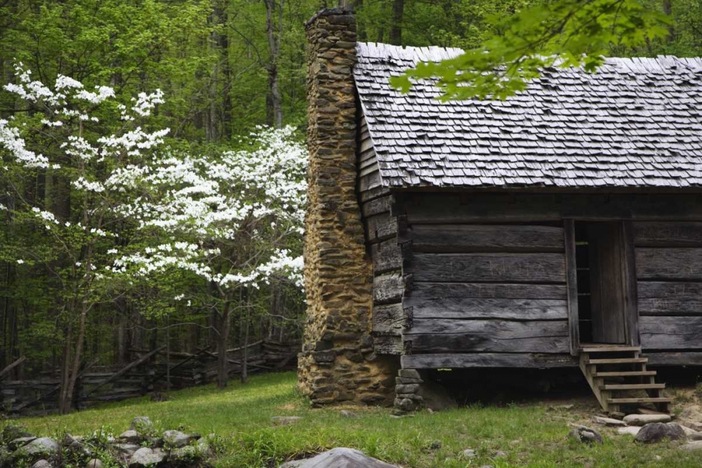TN, Great Smoky Mts Log cabin and blooming trees art print by Dennis Flaherty for $57.95 CAD
