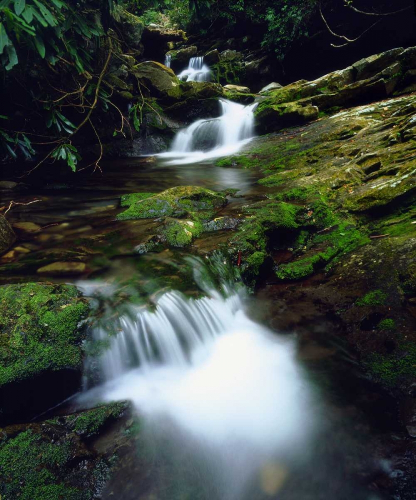 Tennessee, Stream in The Great Smoky Mts art print by Christopher Talbot Frank for $57.95 CAD
