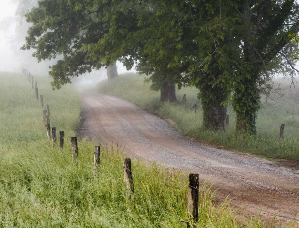 Tennessee, Great Smoky Mts A road in Cades Cove art print by Dennis Flaherty for $57.95 CAD