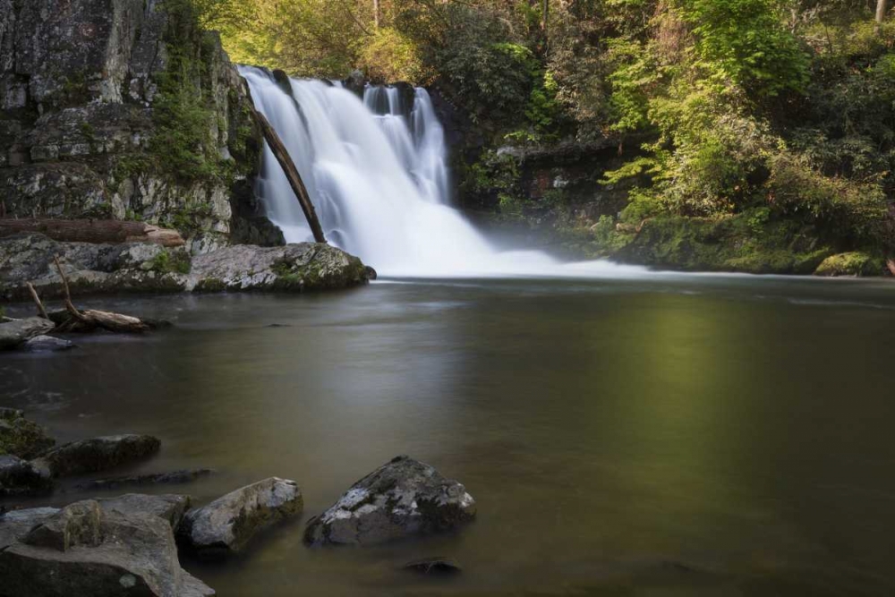 Tennessee, Great Smoky Mts Abrams Falls art print by Don Grall for $57.95 CAD