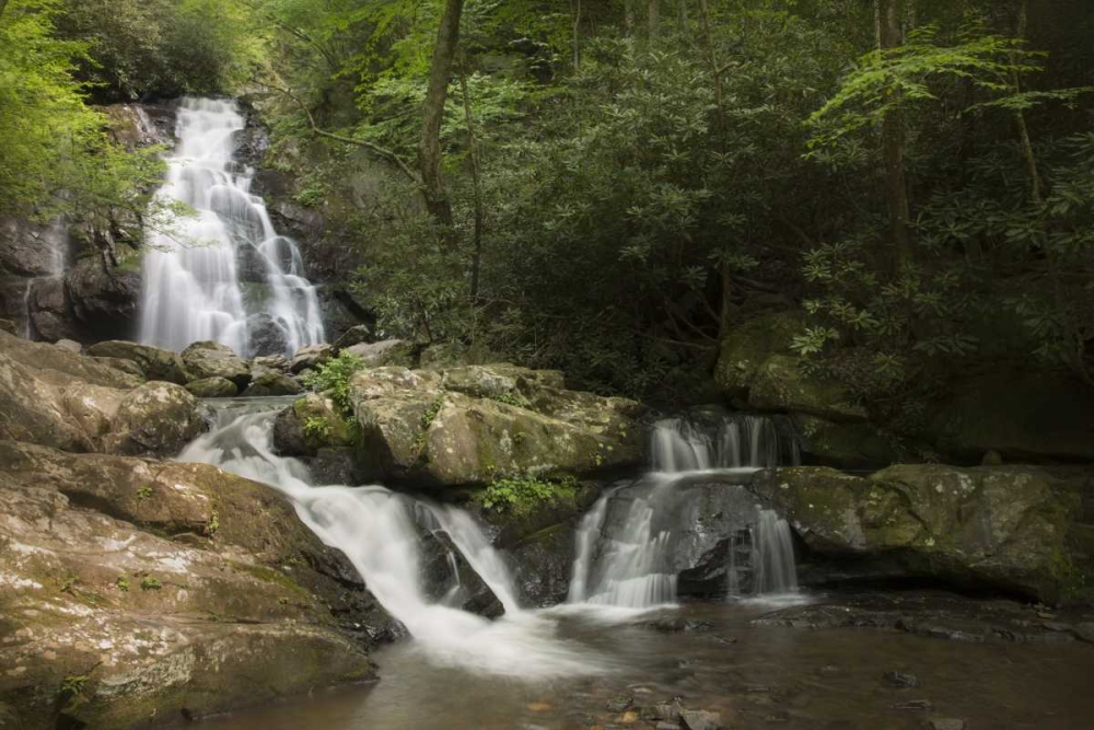TN, Great Smoky Mts Indian Flats Falls landscape art print by Don Grall for $57.95 CAD