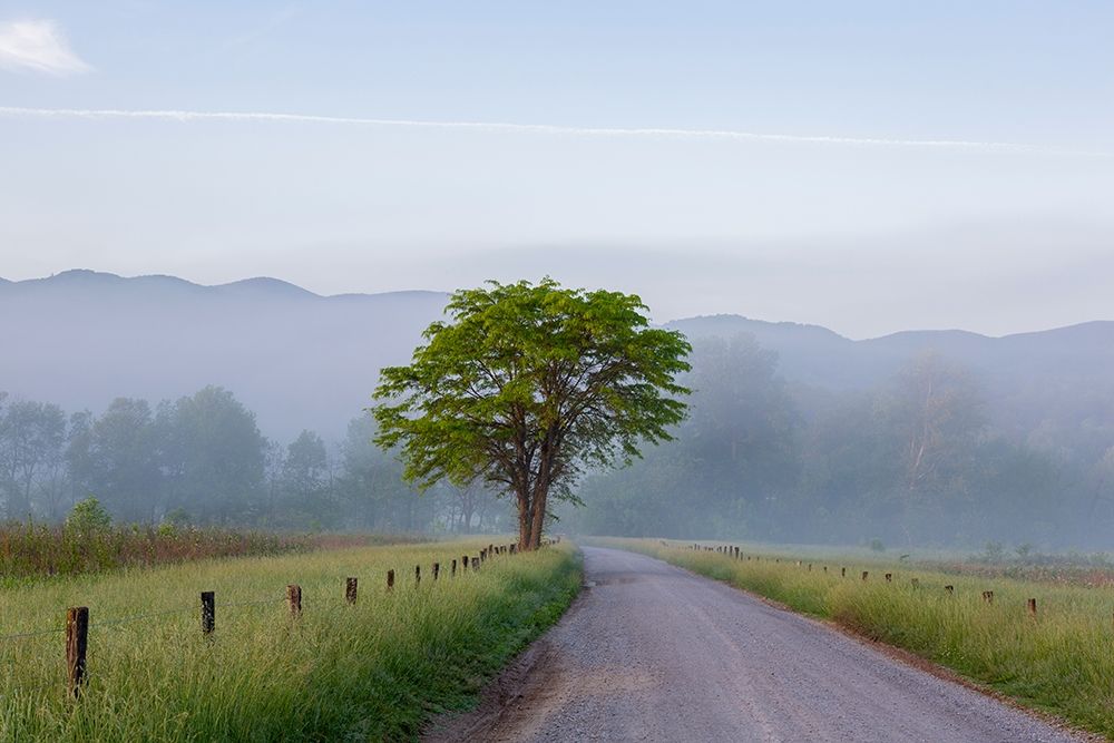 Hyatt Lane in fog Cades Cove Great Smoky Mountains National Park-Tennessee art print by Richard and Susan Day for $57.95 CAD