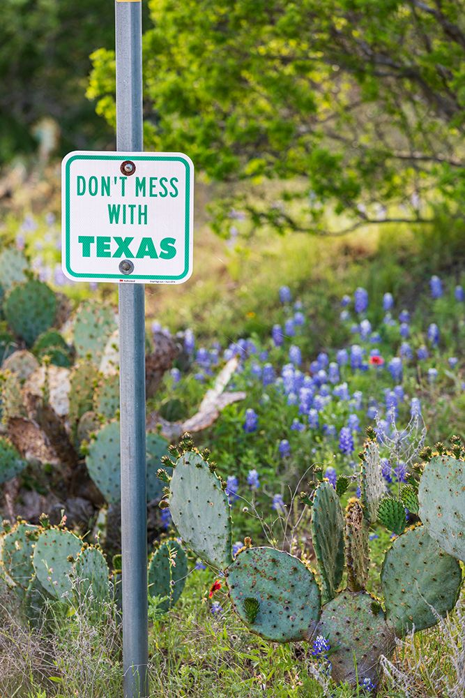 Llano-Texas-USA-Dont Mess With Texas sign in the hill country art print by Emily Wilson for $57.95 CAD