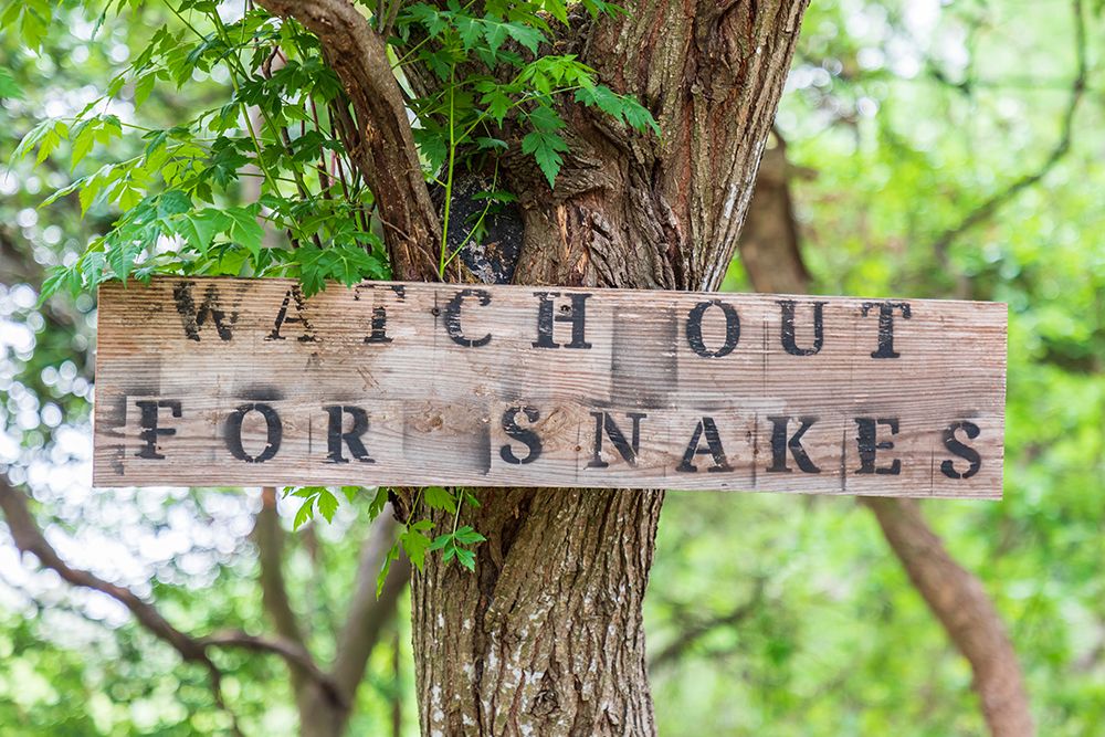Castroville-Texas-USA-Sign warning snakes in the Texas Hill Country art print by Emily Wilson for $57.95 CAD
