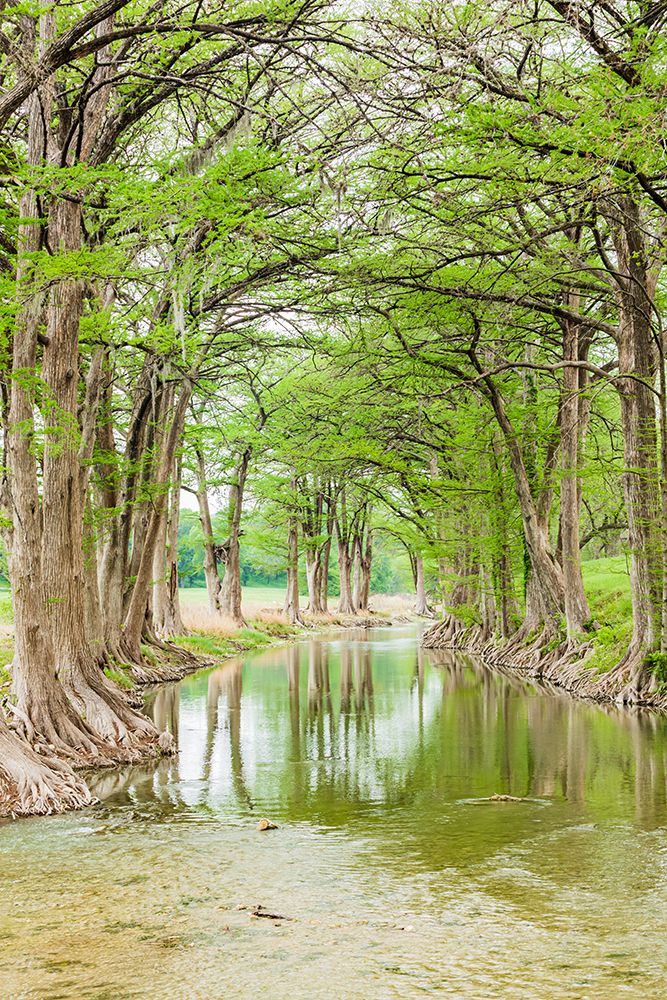 Waring-Texas-USA-Trees along the Guadalupe River in the Texas Hill Country art print by Emily Wilson for $57.95 CAD