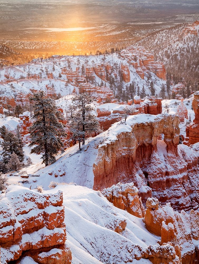 USA, Utah, Bryce Canyon National Park, Sunrise from Sunrise Point after fresh snowfall art print by Ann Collins for $57.95 CAD