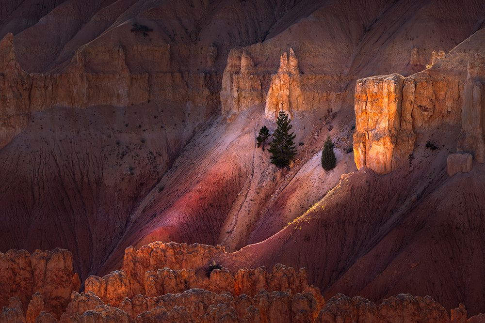 Early morning view of hoodoo formations Bryce Canyon National Park, Utah art print by Adam Jones for $57.95 CAD