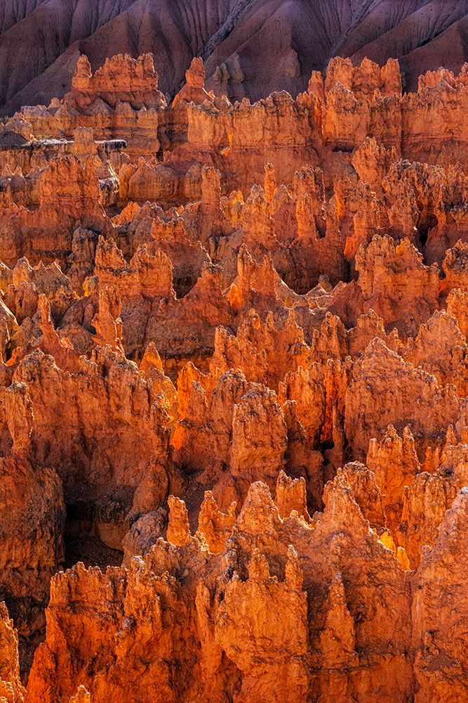 Early morning view of hoodoo formations Bryce Canyon National Park, Utah art print by Adam Jones for $57.95 CAD