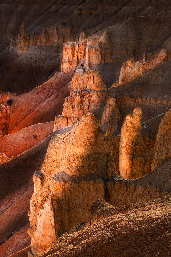 Early morning view of hoodoo formations Bryce Canyon National Park, Utah art print by Adam Jones for $57.95 CAD