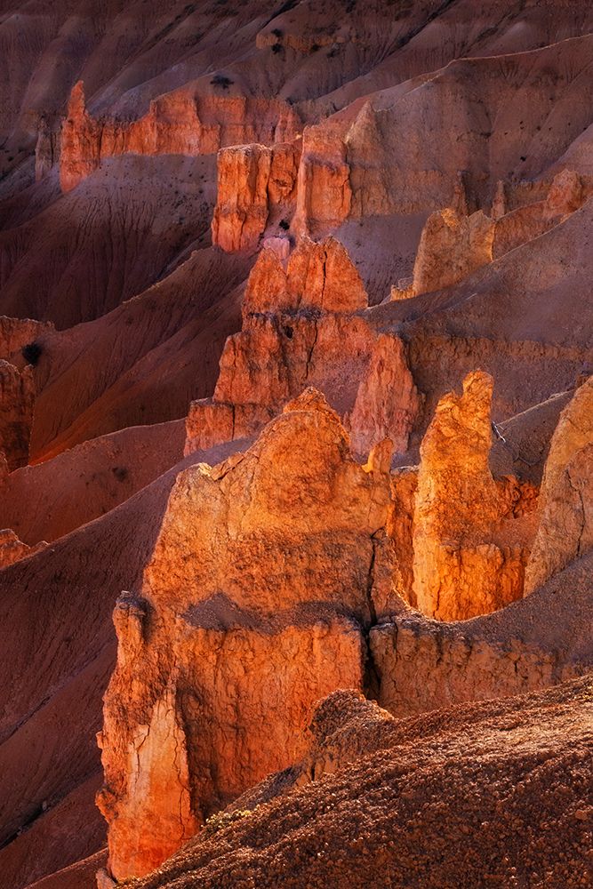 Early morning view of hoodoo formations Bryce Canyon National Park, Utah art print by Adam Jones for $57.95 CAD