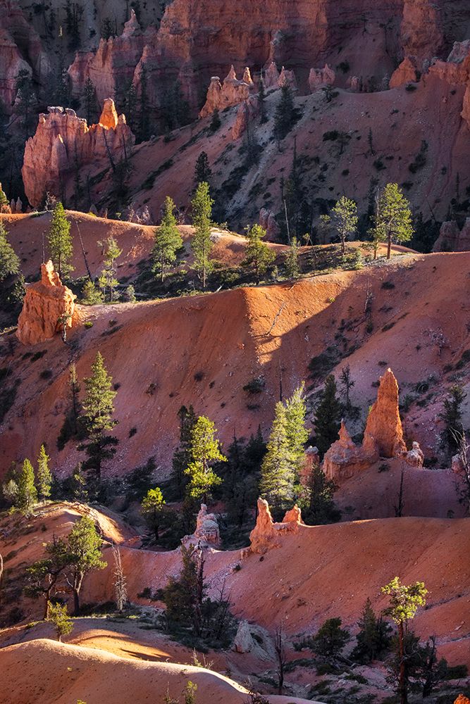 Early morning view of hoodoo formations Bryce Canyon National Park, Utah art print by Adam Jones for $57.95 CAD