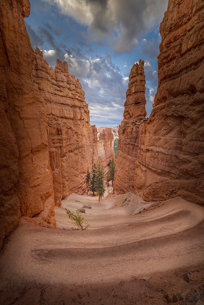 Hiking trail into Bryce Canyon, Bryce Canyon National Park, Utah art print by Adam Jones for $57.95 CAD