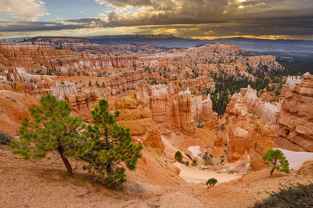 Bryce Canyon, Bryce Canyon National Park, Utah art print by Adam Jones for $57.95 CAD