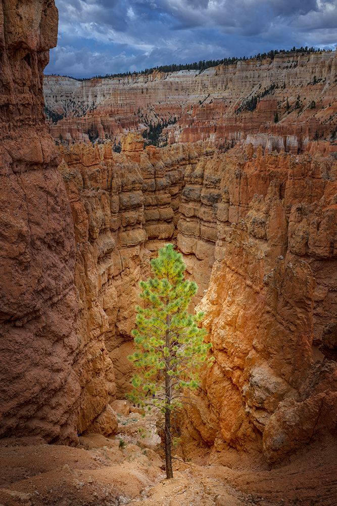 Bryce Canyon, Bryce Canyon National Park, Utah art print by Adam Jones for $57.95 CAD