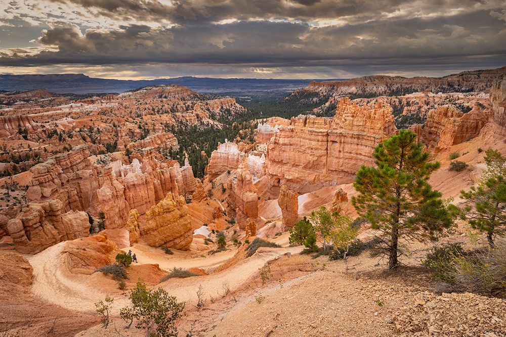 Bryce Canyon, Bryce Canyon National Park, Utah art print by Adam Jones for $57.95 CAD
