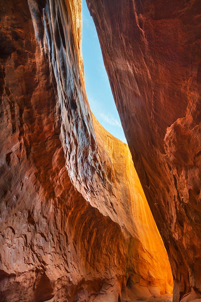 Leprechaun Canyon-one of a group of canyons called the Irish Canyons near Hanksville-Utah art print by Alan Majchrowicz for $57.95 CAD