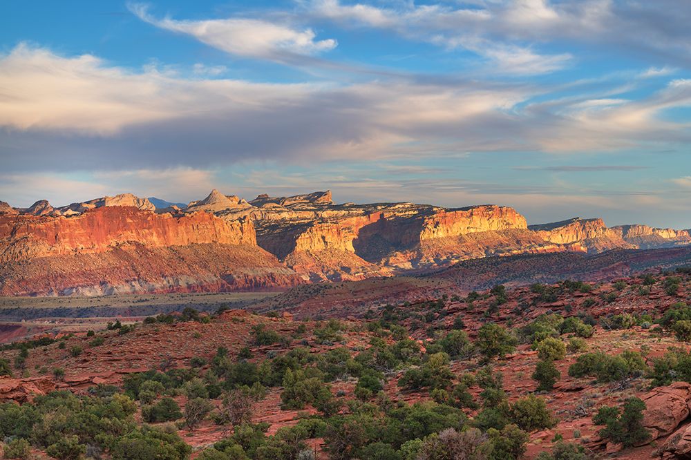 View from Panorama Point-Capitol Reef National Park-Utah art print by Alan Majchrowicz for $57.95 CAD