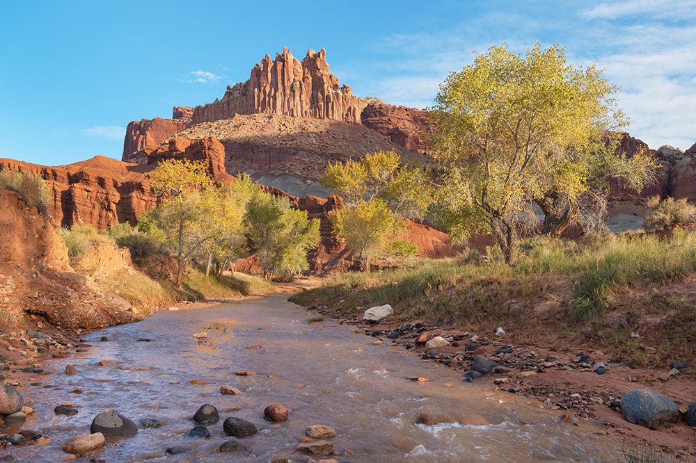 The Castle and Fremont River-Capitol Reef National Park-Utah art print by Alan Majchrowicz for $57.95 CAD