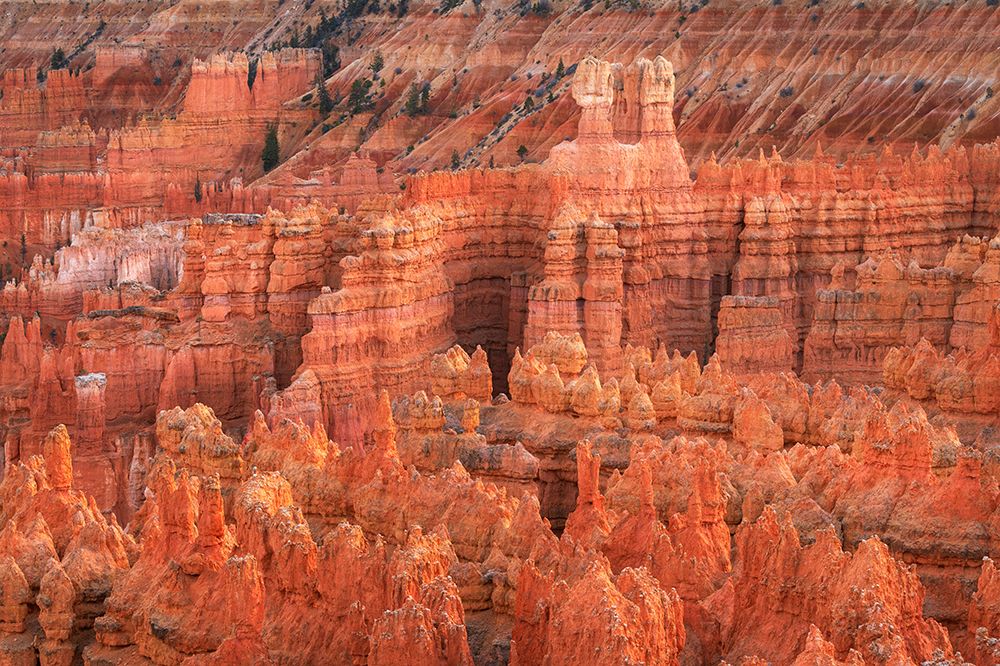 Colorful hoodoos seen from Sunrise Point-Bryce Canyon National Park-Utah art print by Alan Majchrowicz for $57.95 CAD