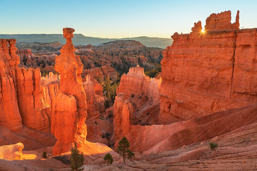 Thors Hammer and colorful hoodoos at Sunrise Point-Bryce Canyon NP-Utah art print by Alan Majchrowicz for $57.95 CAD