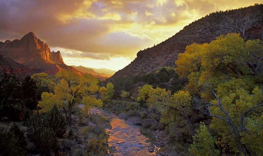 UT, Zion NP  Canyon landscape at sunset art print by Bill Young for $57.95 CAD
