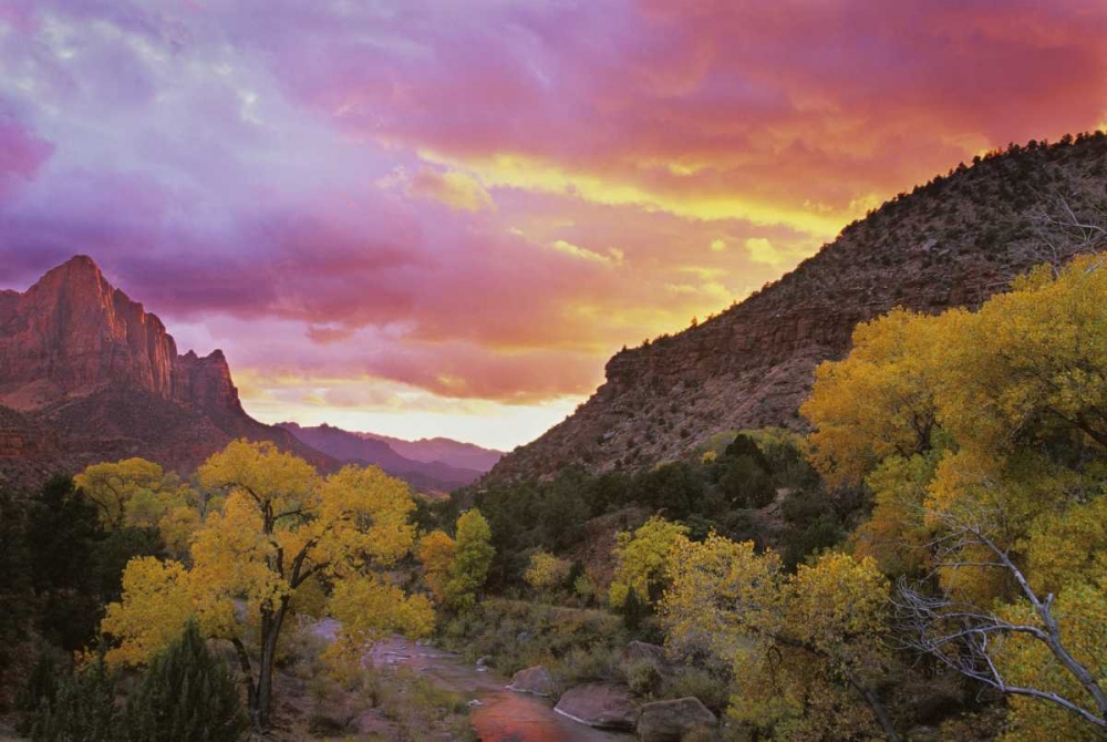 UT, Zion NP  Canyon landscape at sunset art print by Bill Young for $57.95 CAD