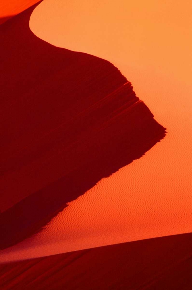 UT, Coral Pink Sand Dunes SP Abstract patterns art print by Dave Welling for $57.95 CAD