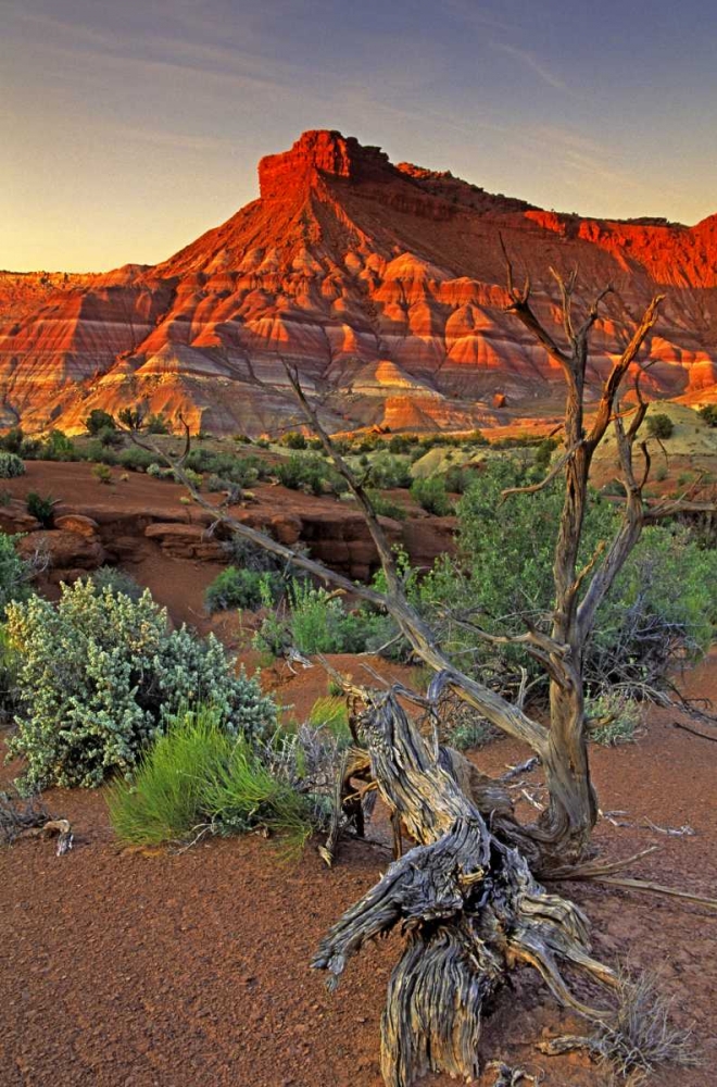 Utah Paria Canyon sandstone formation at sunset art print by Dave Welling for $57.95 CAD