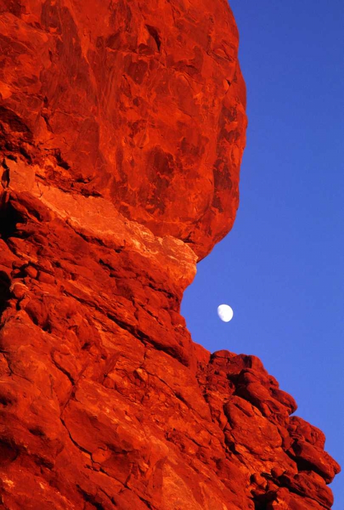 USA, Utah, Arches NP Moonrise over Balanced Rock art print by Dave Welling for $57.95 CAD