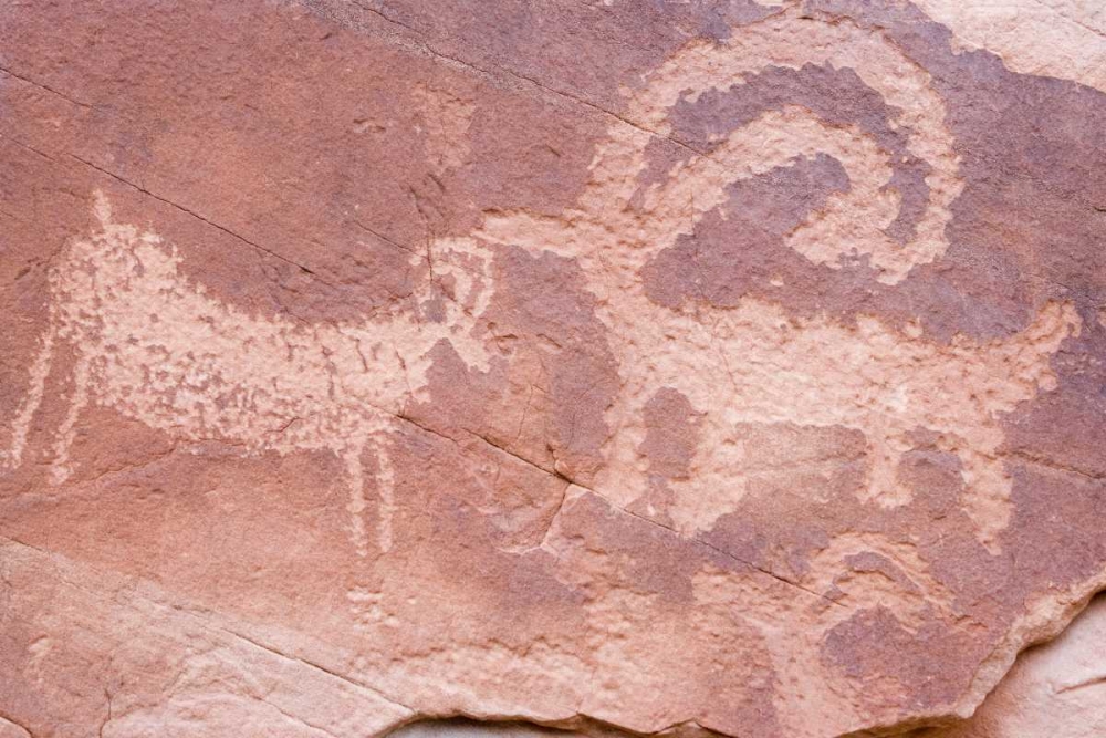 UT, Glen Canyon NP Petroglyph byEscalante River art print by Don Paulson for $57.95 CAD