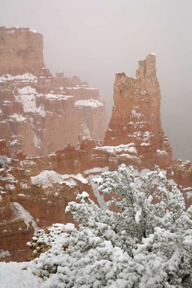 Utah, Bryce Canyon Paria Valley formations art print by Don Paulson for $57.95 CAD