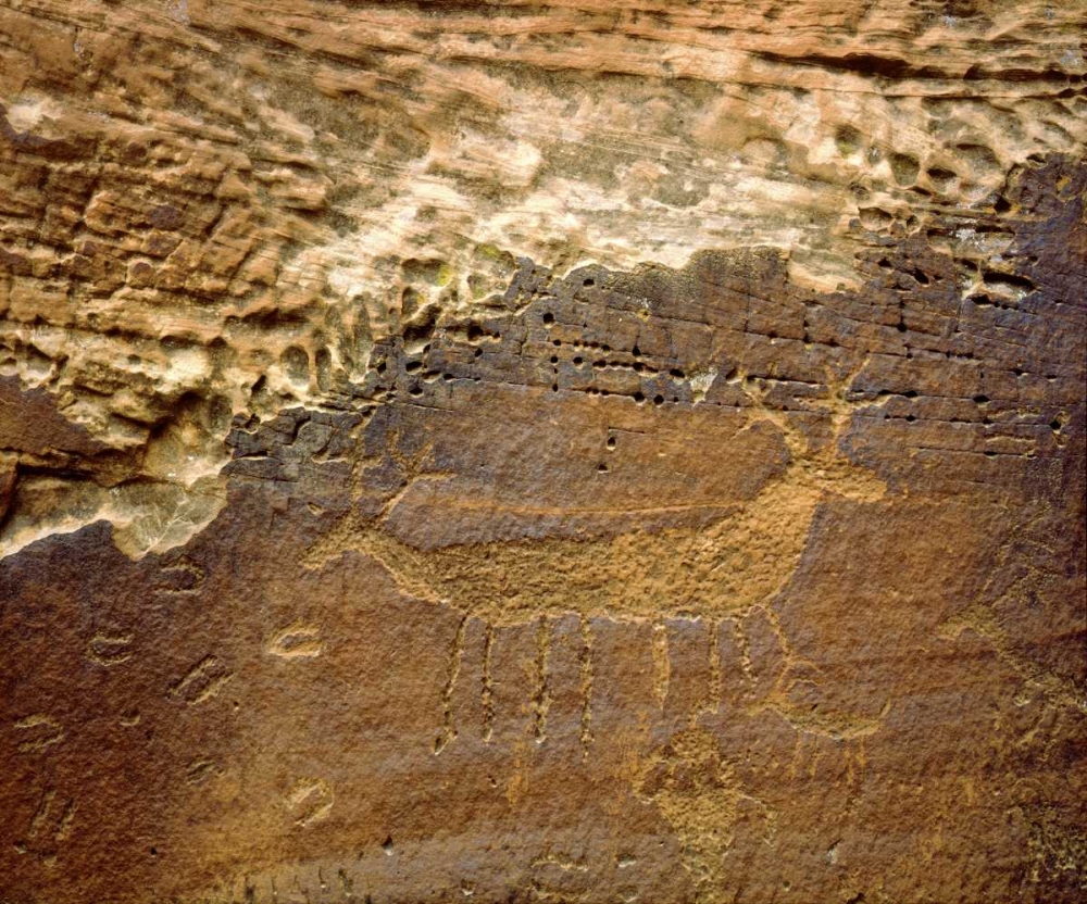 Utah Petroglyph carvings of animals on rock face art print by Christopher Talbot Frank for $57.95 CAD