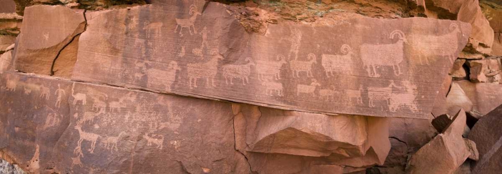 UT, Canyonlands NP Petroglyphs on rocks art print by Don Paulson for $57.95 CAD