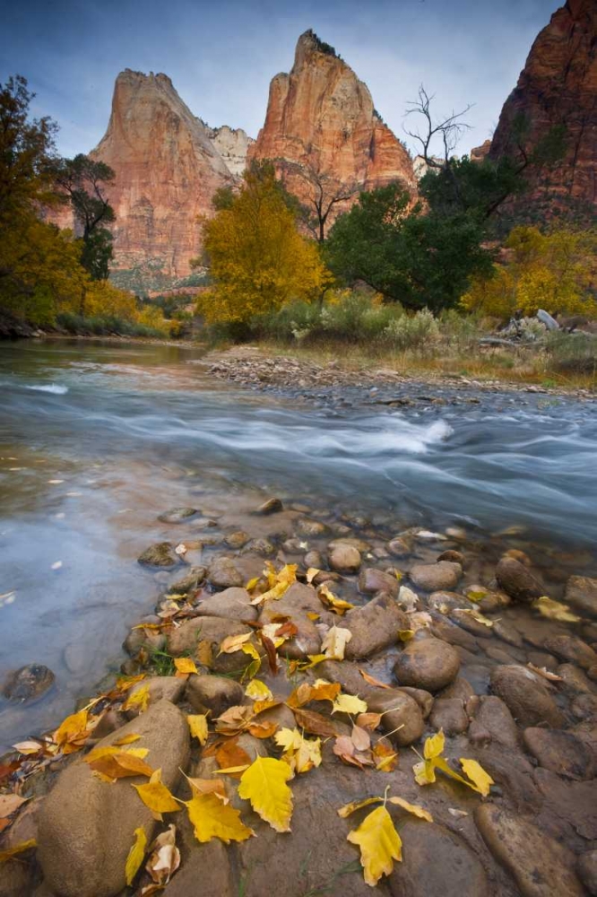 UT, Zion NP The Sentinel and fallen leaves art print by Nancy Rotenberg for $57.95 CAD