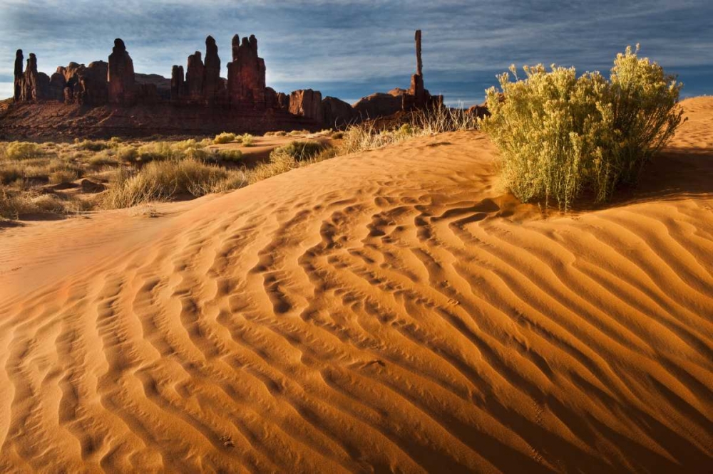 Utah, Monument Valley Sand dunes with Totem Pole art print by Nancy Rotenberg for $57.95 CAD