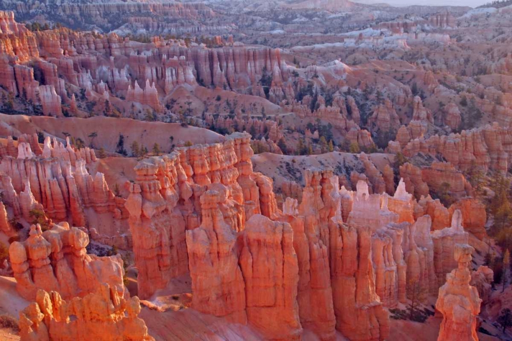 Utah, Bryce Canyon NP Sunrise at Sunset Point art print by Cathy and Gordon Illg for $57.95 CAD