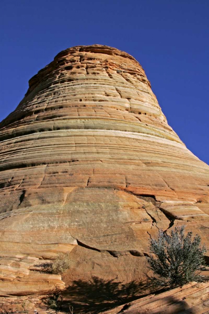 Utah, Zion NP, Checkerboard Mesa Rock formation art print by Cathy and Gordon Illg for $57.95 CAD