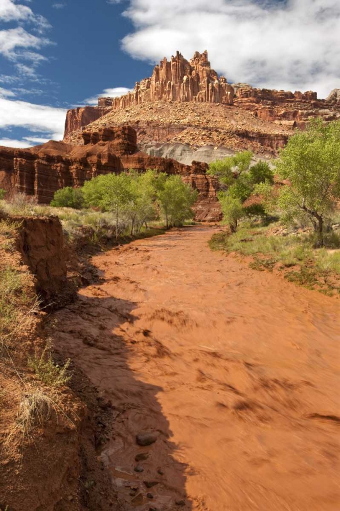 UT, Capitol Reef NP Fremont River after rain art print by Dave Welling for $57.95 CAD