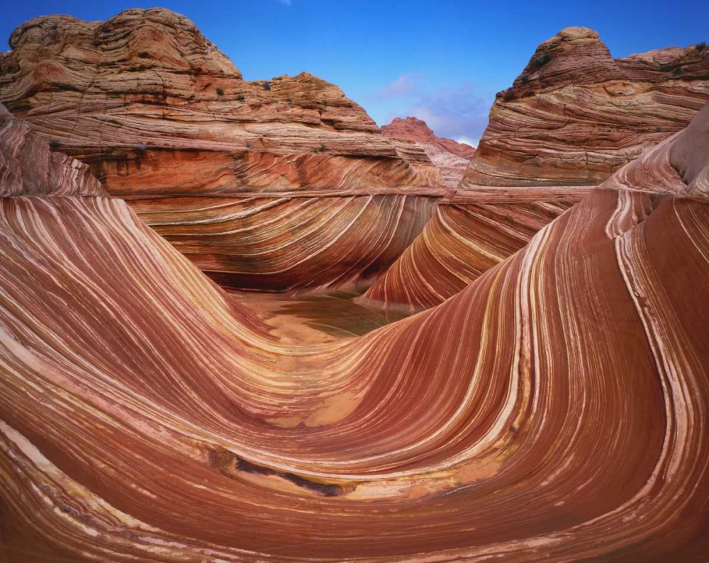 Utah, Paria Canyon The Wave formation, sandstone art print by Dennis Flaherty for $57.95 CAD