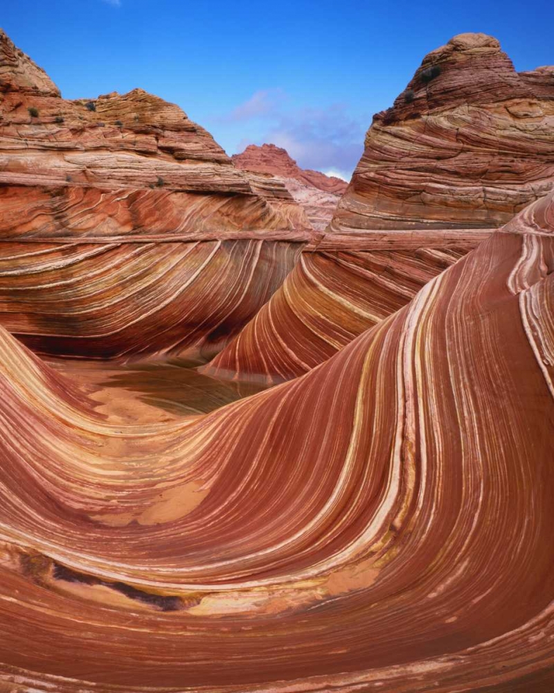 Utah, Paria Canyon The Wave formation, sandstone art print by Dennis Flaherty for $57.95 CAD