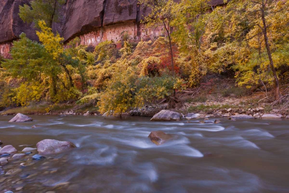USA, Utah, Zion NP Autumn on the Virgin River art print by Cathy and Gordon Illg for $57.95 CAD