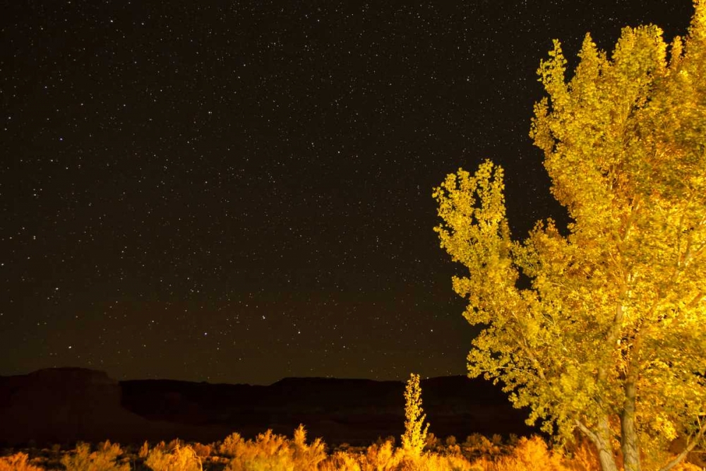 USA, Utah Stary night sky in autumn art print by Cathy and Gordon Illg for $57.95 CAD