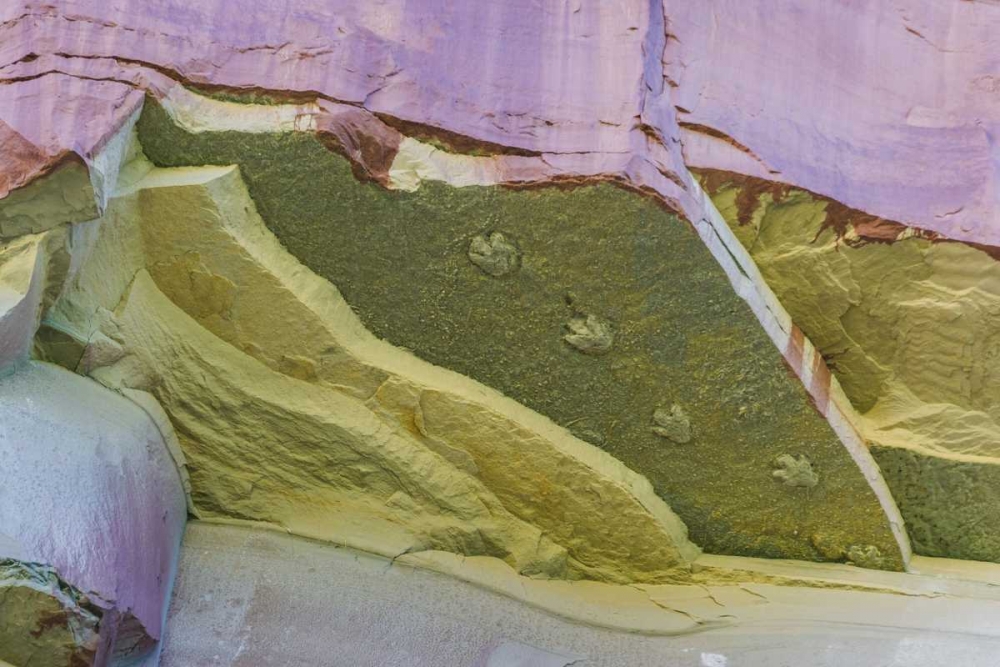 Utah, Glen Canyon Dinosaur tracks on rock face art print by Don Paulson for $57.95 CAD