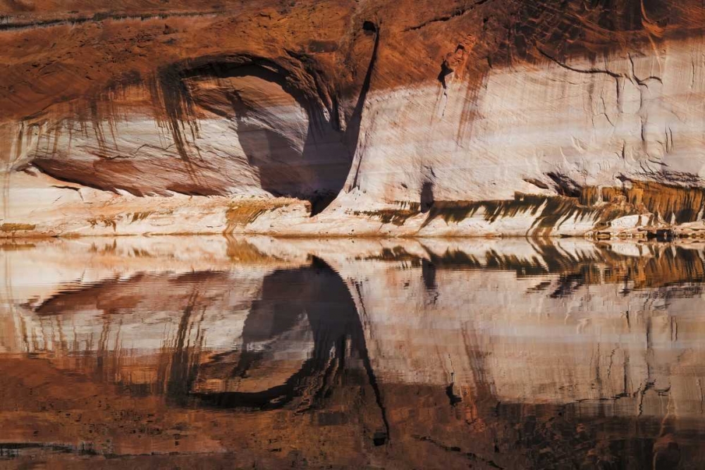 UT, Glen Canyon Abstract stained sandstone wall art print by Don Paulson for $57.95 CAD