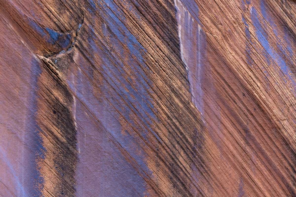 Utah, Glen Canyon Stained patterns on rock wall art print by Don Paulson for $57.95 CAD