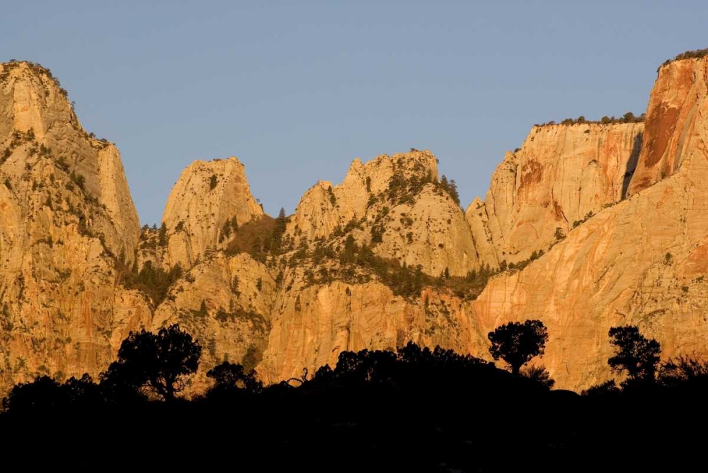 UT, Zion NP Towers of the Virgin River, sunrise art print by Marie Bush for $57.95 CAD