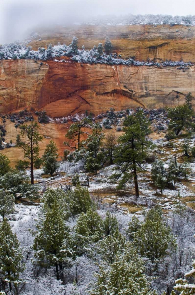 USA, Utah, Zion NP Winter scenic art print by Nancy Rotenberg for $57.95 CAD