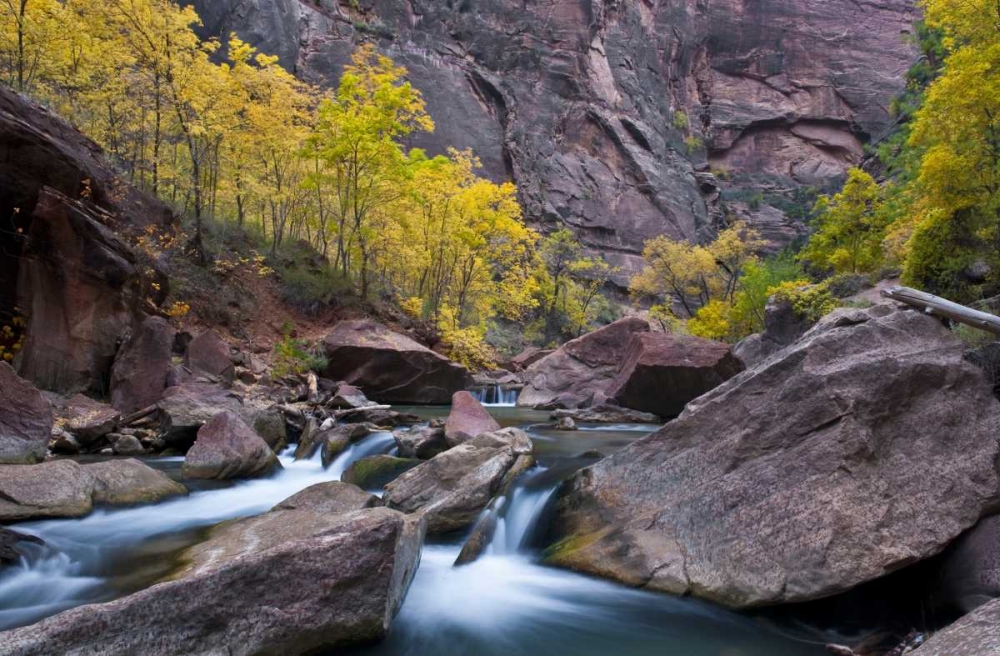 Utah, Zion NP Canyon waterfall with cottonwoods art print by Nancy Rotenberg for $57.95 CAD