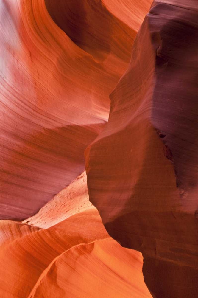 AZ, Sandstone formation in Antelope Canyon art print by Nancy Rotenberg for $57.95 CAD
